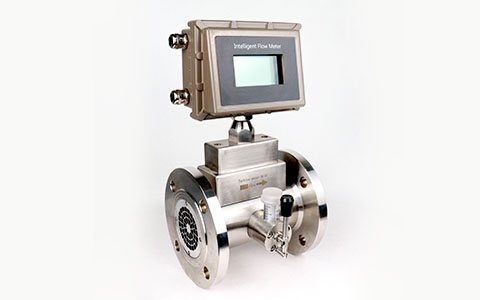 氣體渦輪流量計(jì)帶油杯 (2).JPG