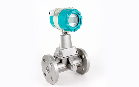 旋進旋渦流量計 (2.).JPG